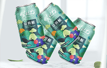 张掖苹果醋包装设计