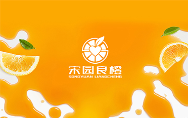 某良橙——张掖LOGO设计